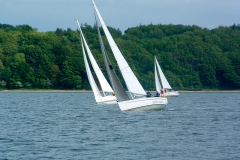 Baltic-cup-17