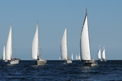 Baltic-cup-25